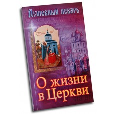 Душевный лекарь О жизни в церкви мяг ССД 2009 2014