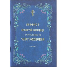 АкЧенстоховской мяг ОПИТ 2009